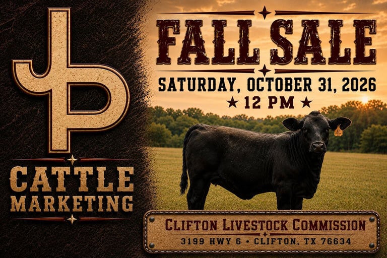Fall Sale